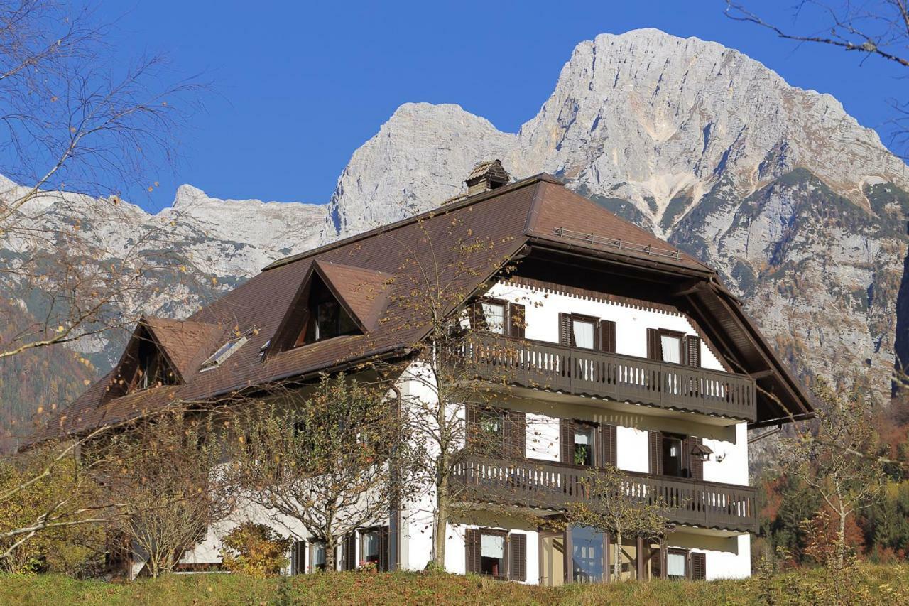 Apartments Mija Krotica Zewnętrze zdjęcie